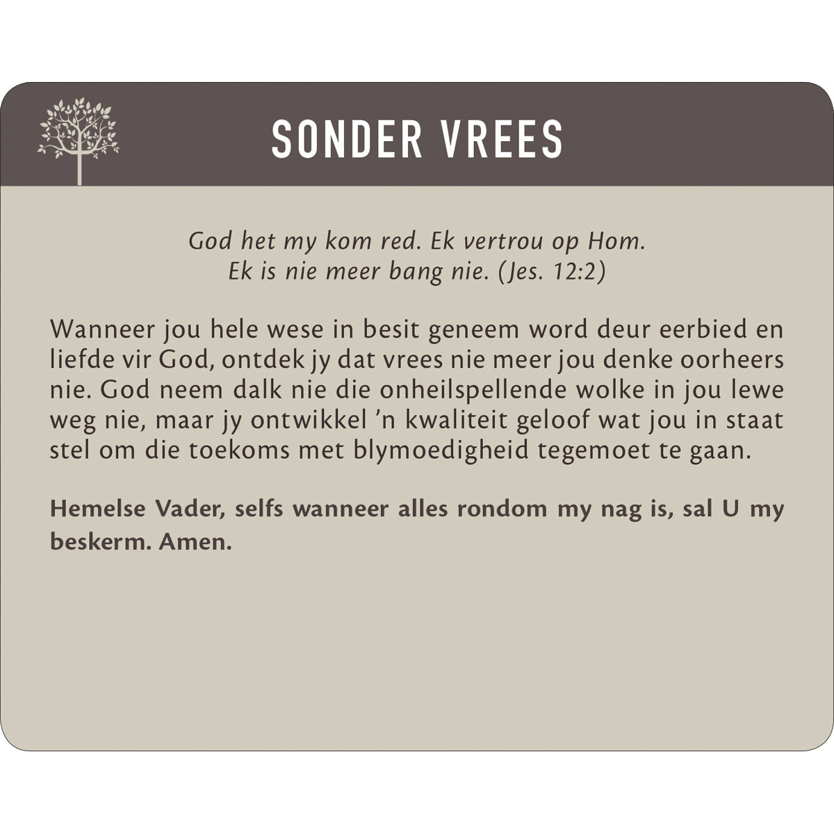 Geanker In Die Woord Afrikaans Prayer Cards In Tin By Solly Ozrovech