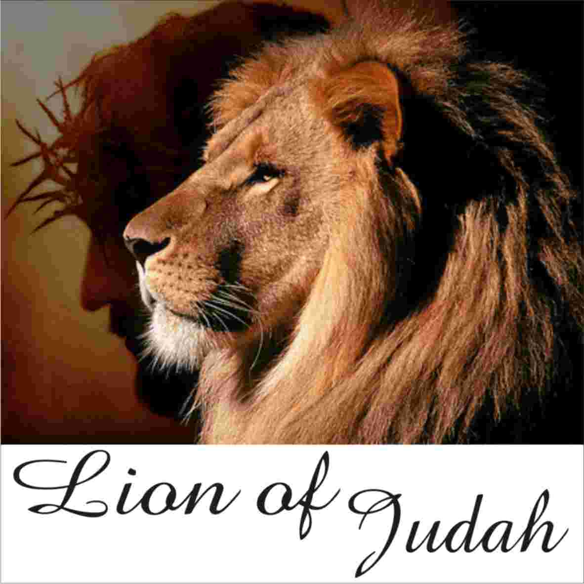 Lion of Judah 10ml