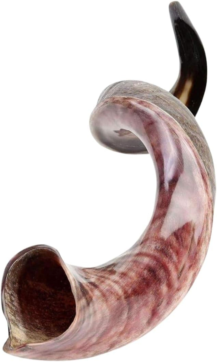 Kudu  Horn Shofar