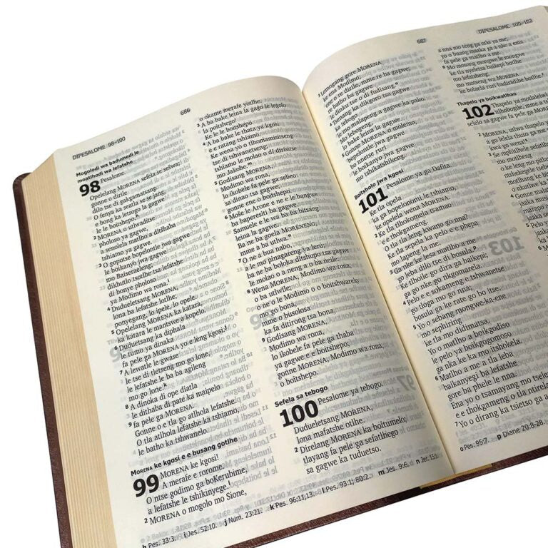 SETSWANA 1970 complete Bible, large print, brown vinyl softcover, gilt-edged