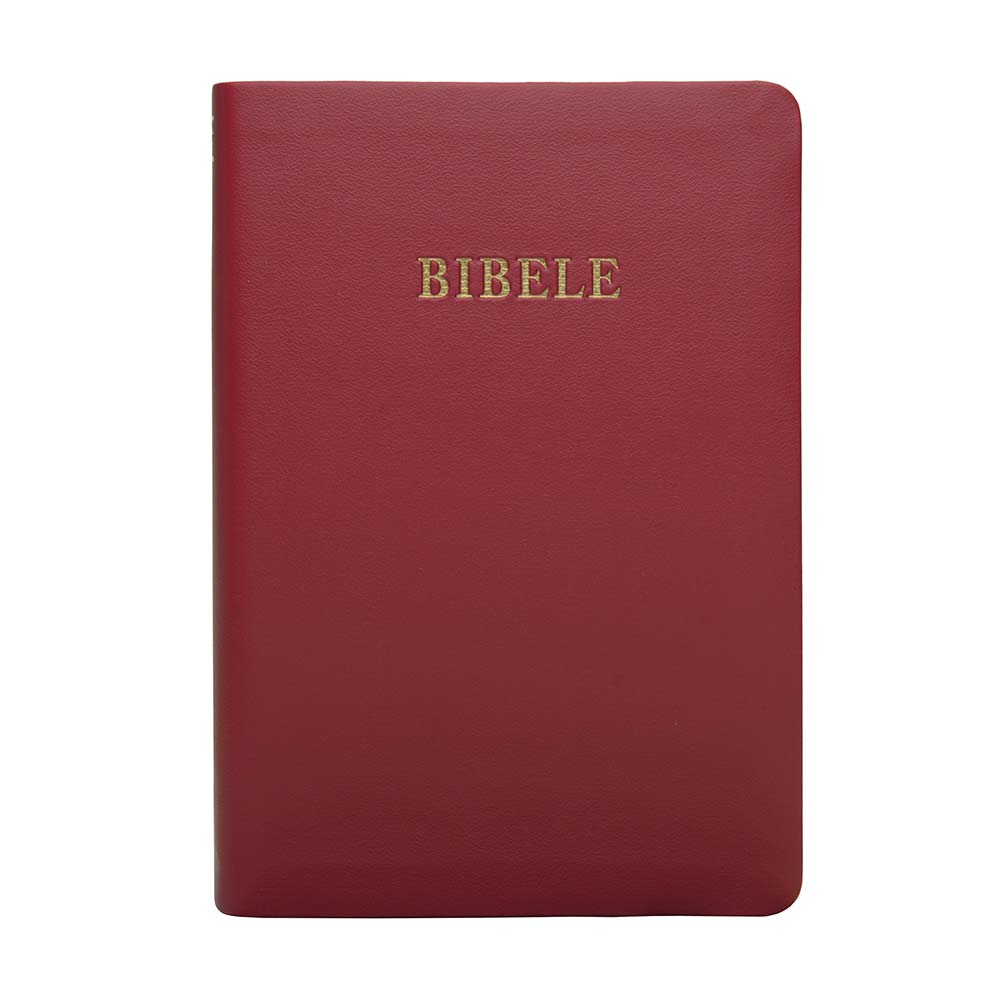 XITSONGA 1929 NO complete Bible, standard size, pink vinyl softcover, gilt-edged