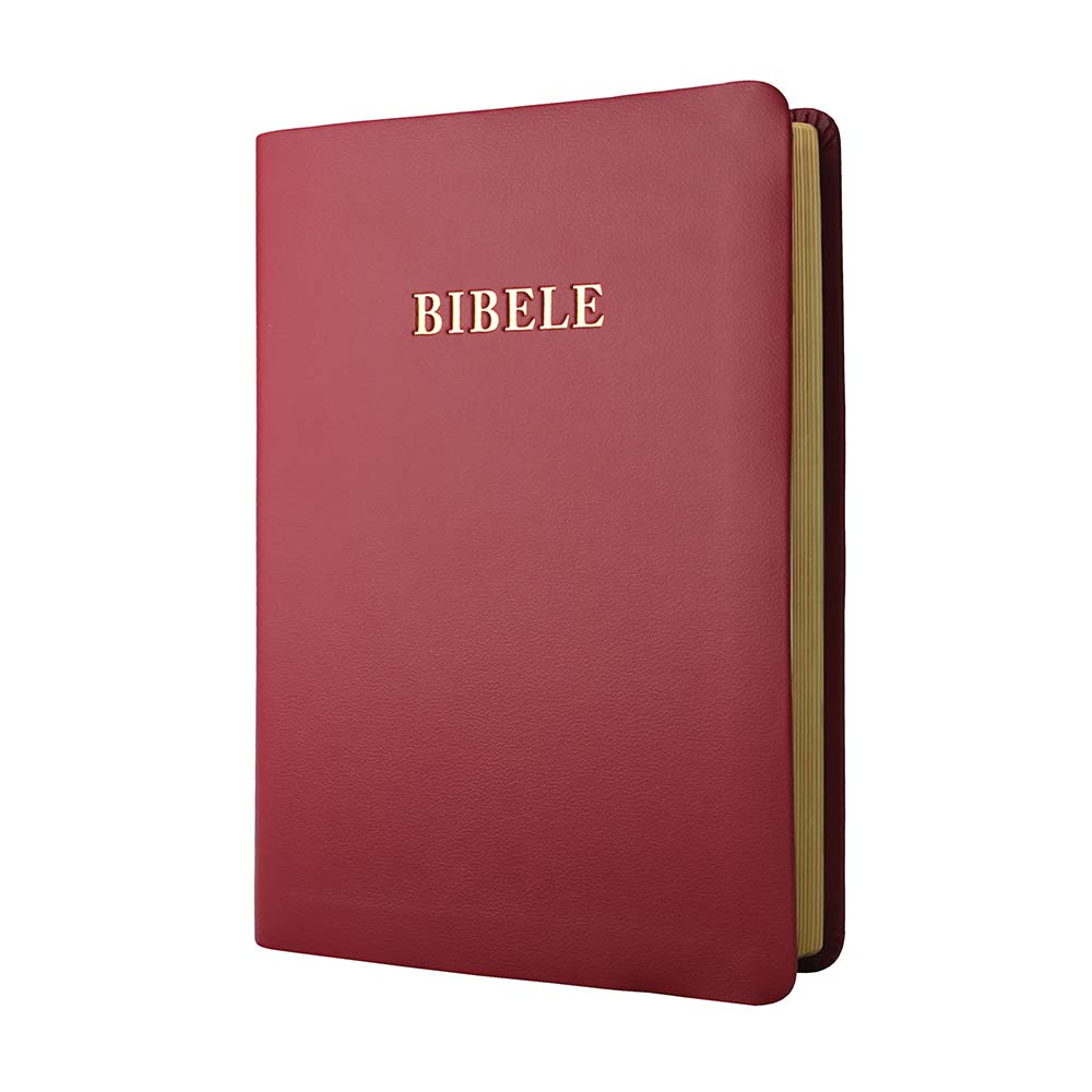 XITSONGA 1929 NO complete Bible, standard size, pink vinyl softcover, gilt-edged